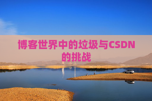 博客世界中的垃圾与CSDN的挑战